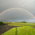 A Rainbow at Bunratty Meadows