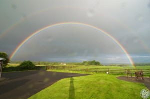 A Rainbow at Bunratty Meadows